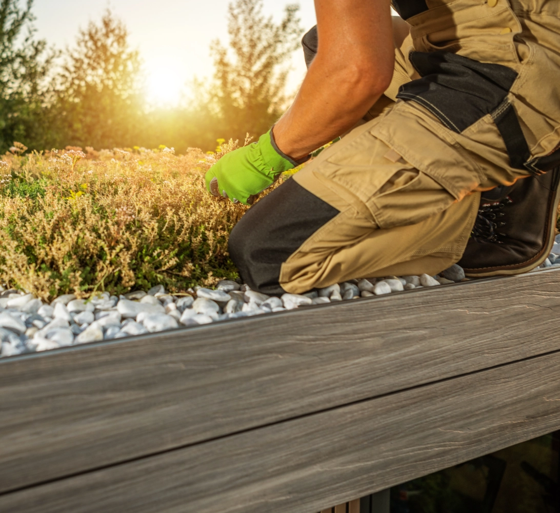 Gardener tending plants on a green roof.
